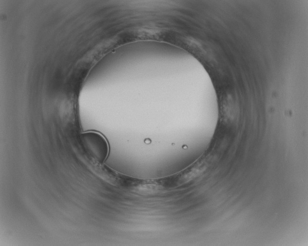 X0000060740468200511241642