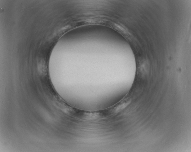 X0000060740469200511241642