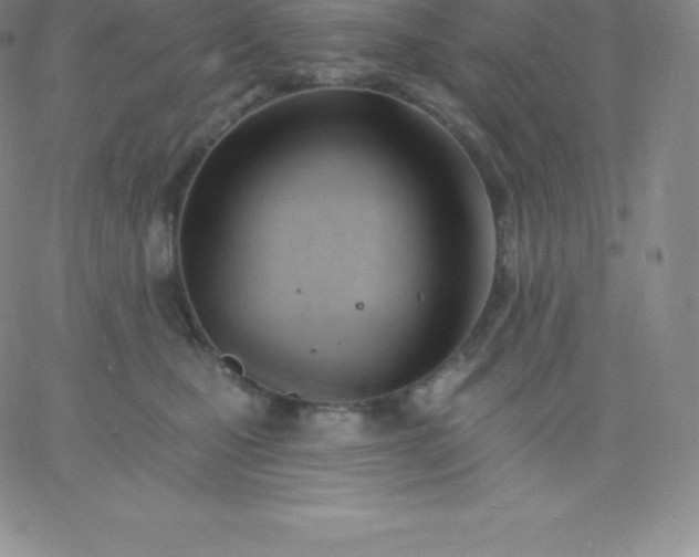 X0000060740471200511241642