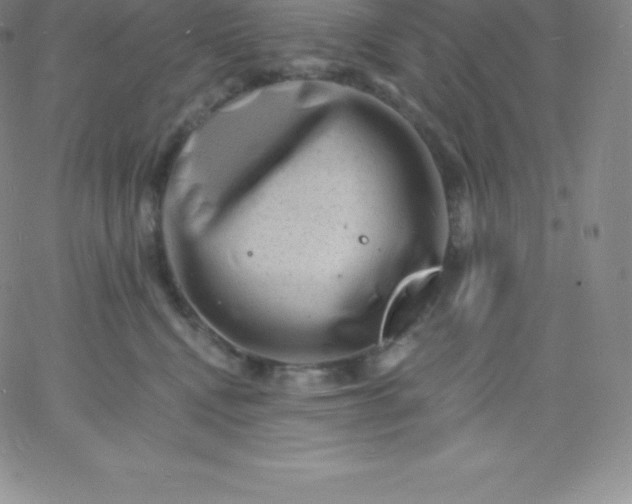 X0000060740472200511241642