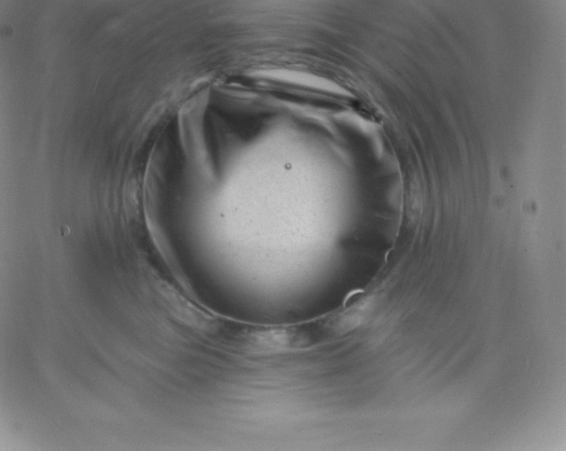 X0000060740473200511241642