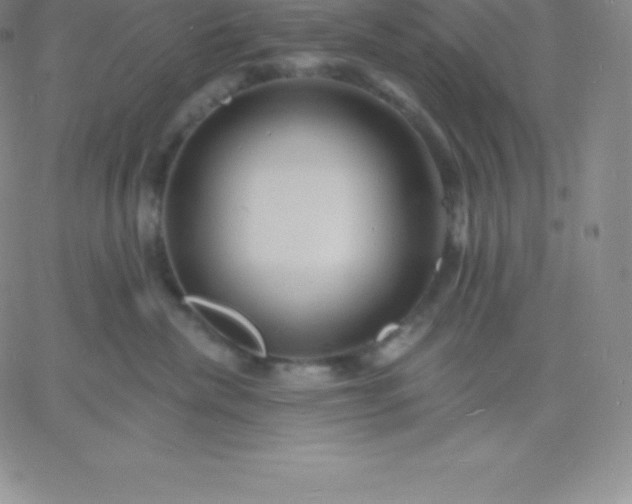 X0000060740476200511241642