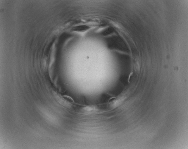 X0000060740477200511241642