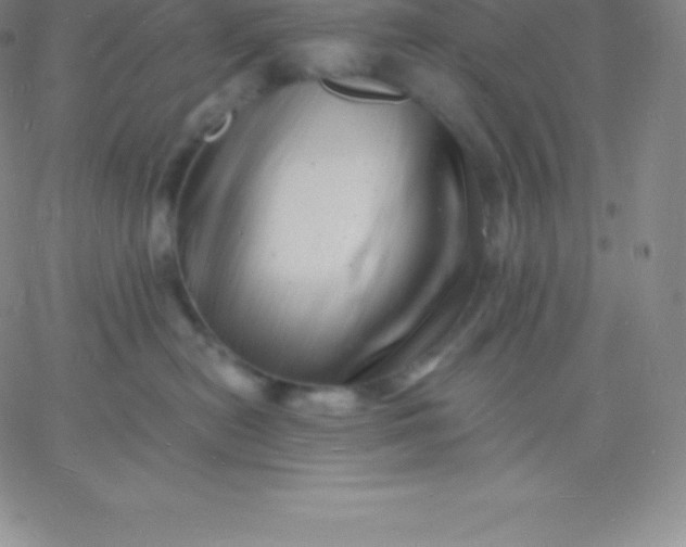 X0000060740478200511241642