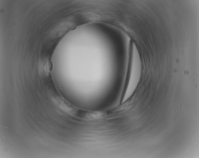 X0000060740479200511241642