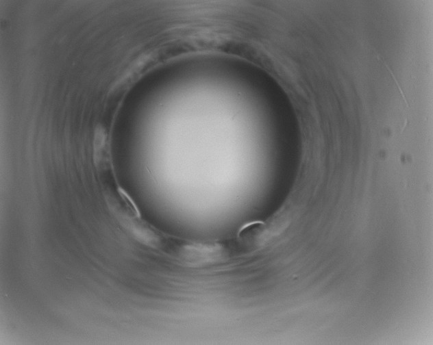 X0000060740480200511241643