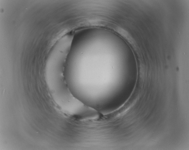 X0000060740481200511241642