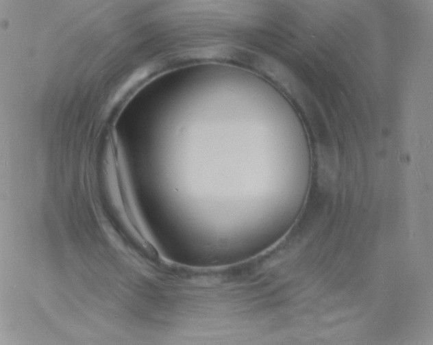 X0000060740482200511241642