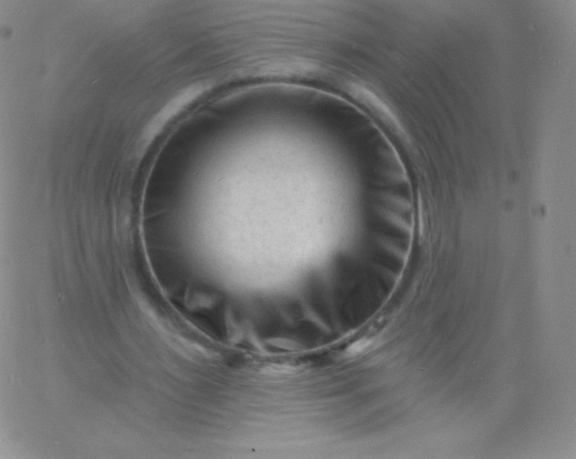 X0000060740483200511241642