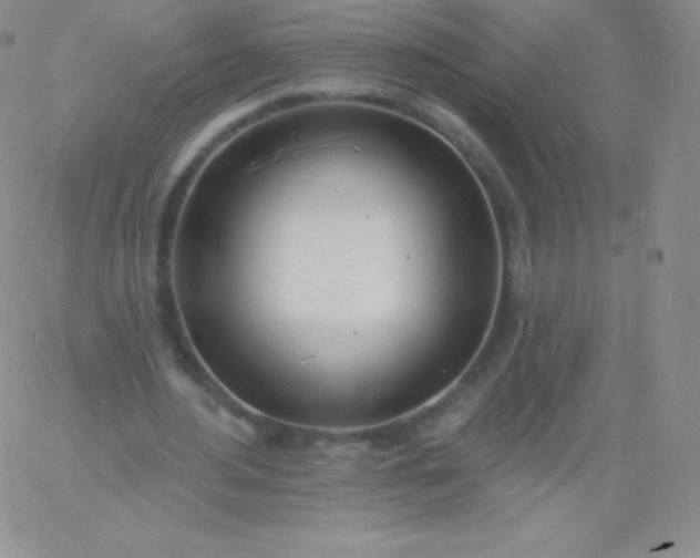 X0000060740484200511241642