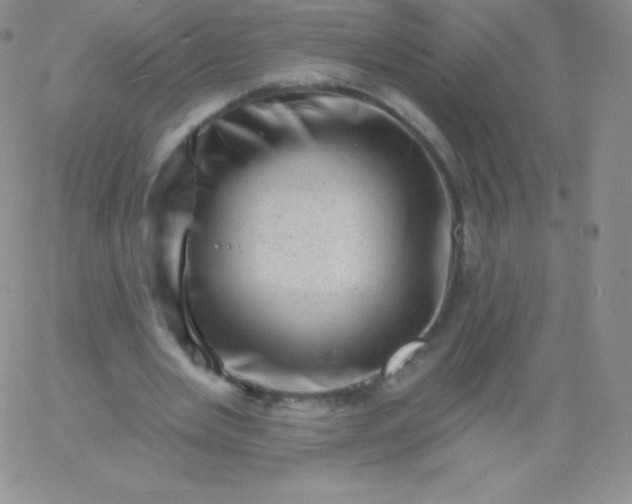 X0000060740485200511241642