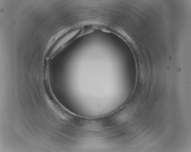 X0000060740486200511241642