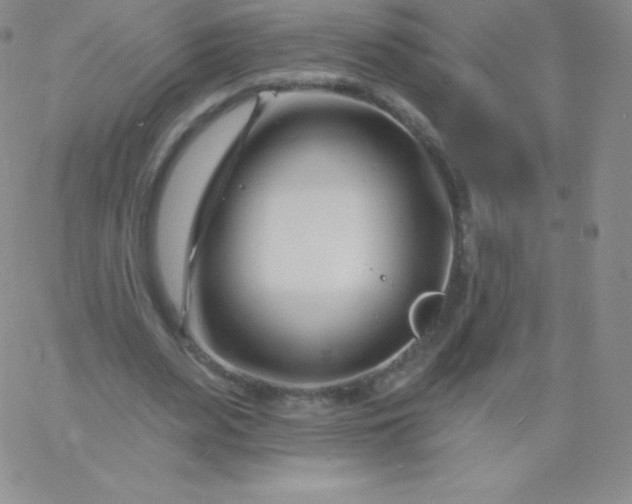 X0000060740487200511241642