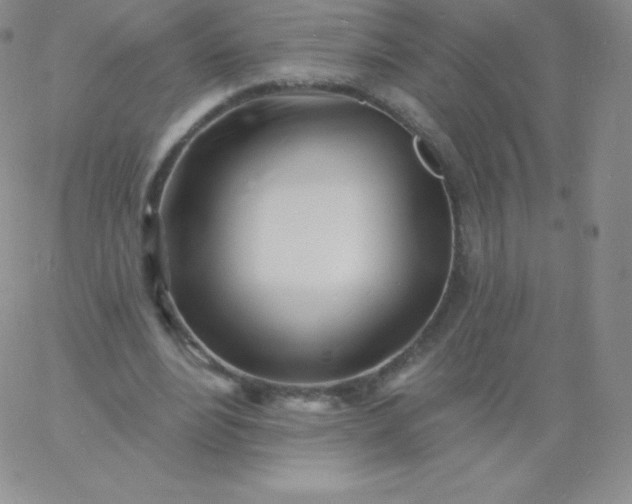 X0000060740488200511241642