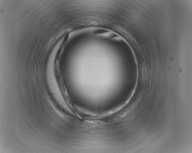 X0000060740489200511241642