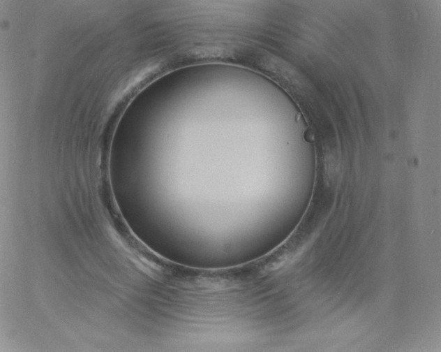 X0000060740490200511241642