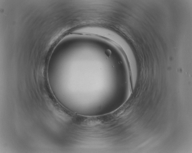 X0000060740491200511241642