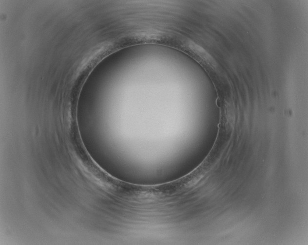 X0000060740494200511241642