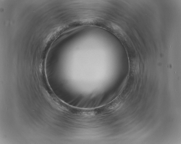 X0000060740495200511241642