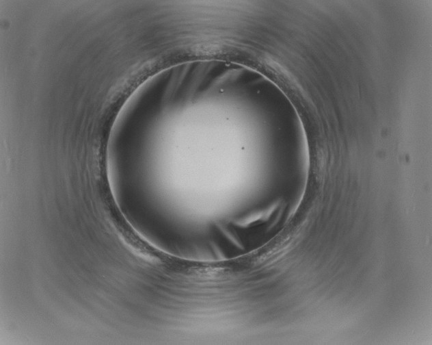 X0000060740497200511241641