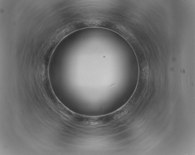 X0000060740498200511241641