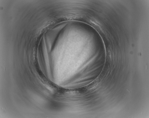 X0000060740499200511241641