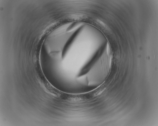 X0000060740500200511241641