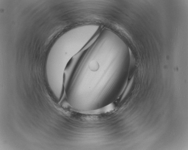 X0000060740501200511241641