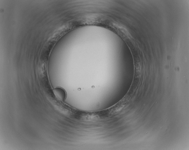 X0000060740503200511241641