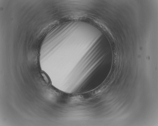 X0000060740505200511241641