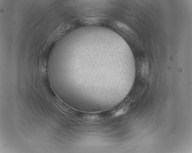 X0000060740507200511241641