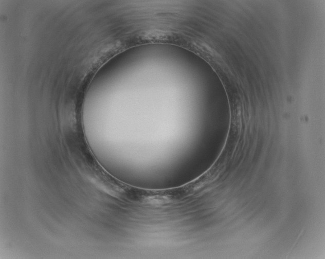 X0000060740508200511241641