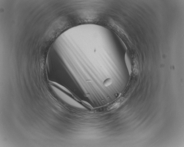 X0000060740509200511241641