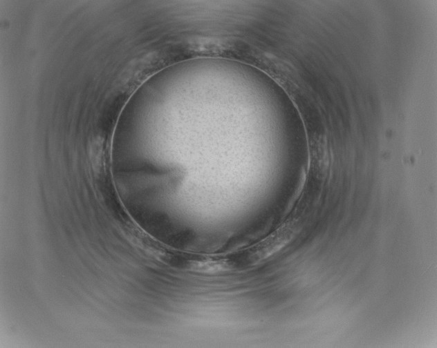 X0000060740511200511241641