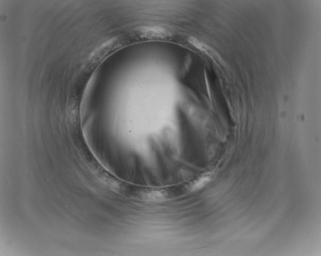 X0000060740513200511241641