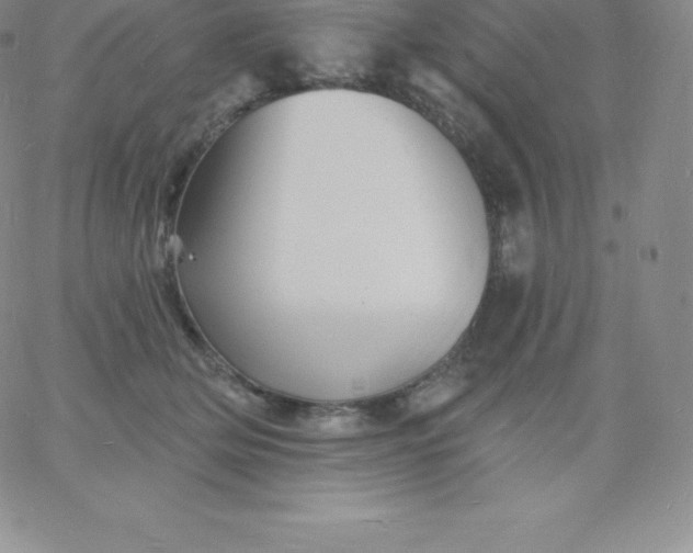 X0000060740514200511241641