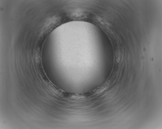 X0000060740515200511241641