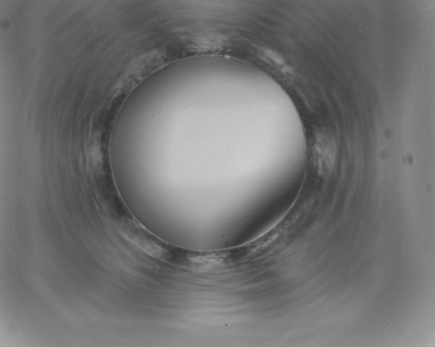 X0000060740516200511241641