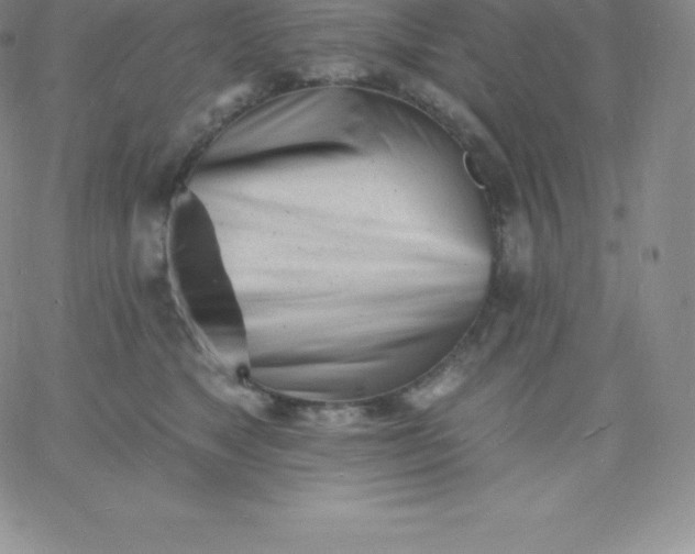 X0000060740517200511241641