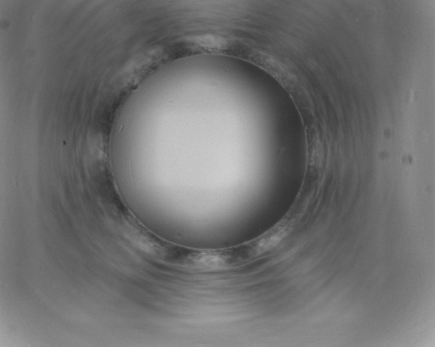 X0000060740518200511241641