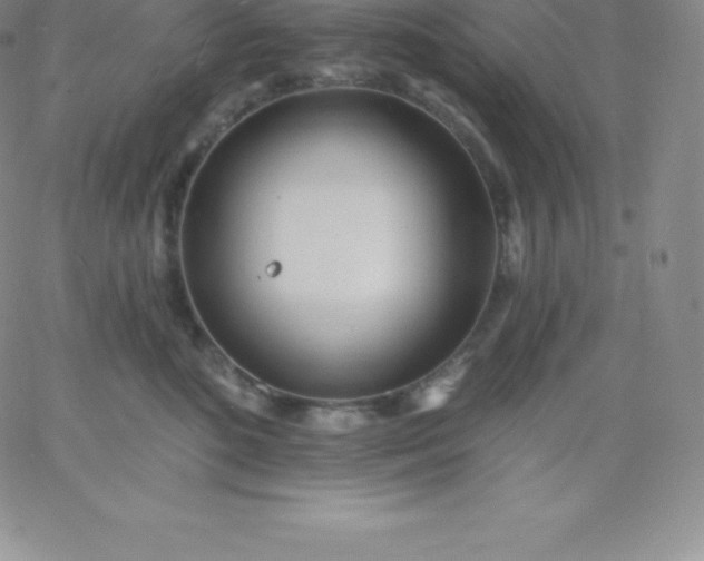 X0000060740520200511241641