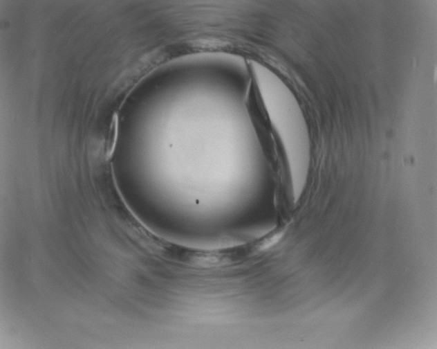 X0000060740521200511241641