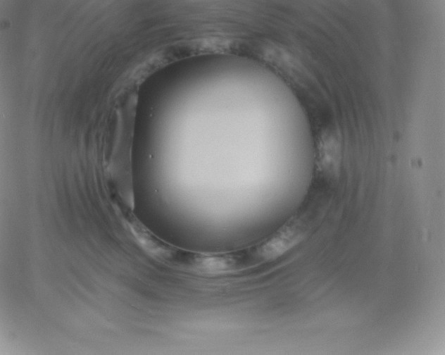 X0000060740522200511241641