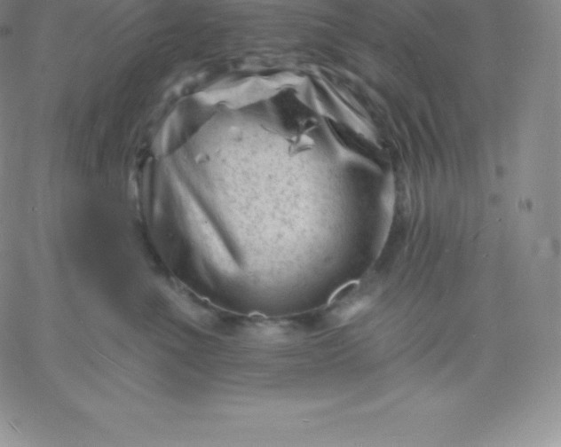 X0000060740523200511241641