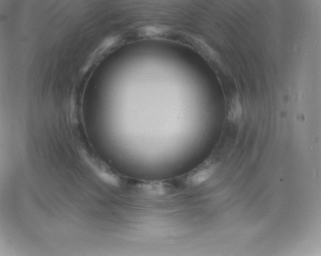 X0000060740524200511241641