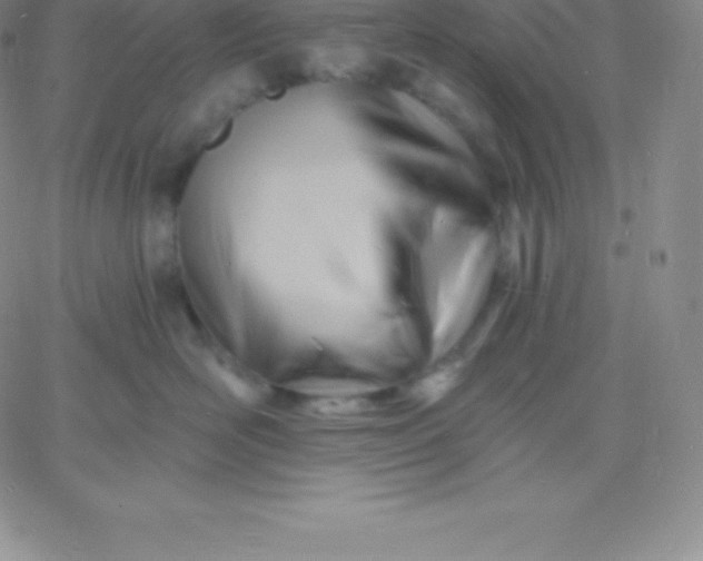 X0000060740526200511241641