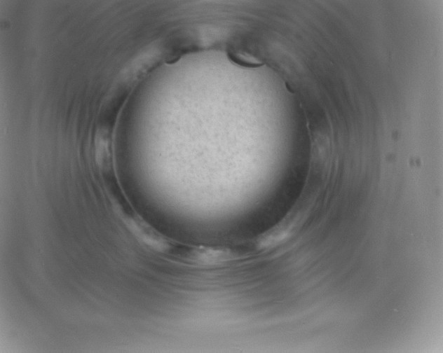 X0000060740527200511241641