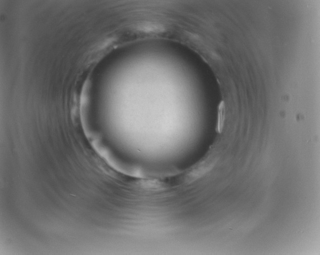 X0000060740528200511241641