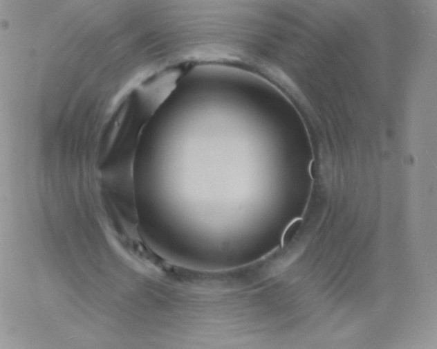 X0000060740530200511241640