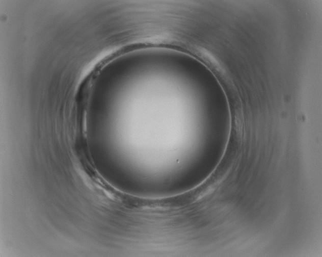 X0000060740532200511241640